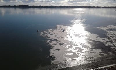 Rettung Kleintier, Foto 3