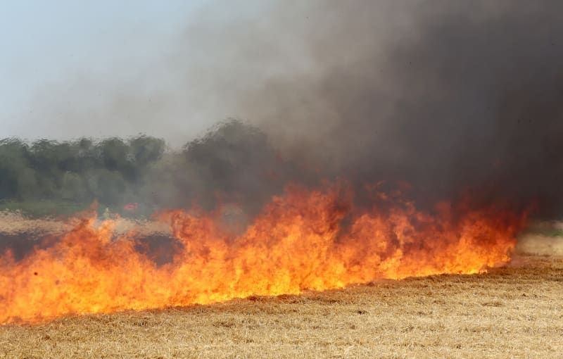 Brand im Freien/ Freifläche groß, Foto 1